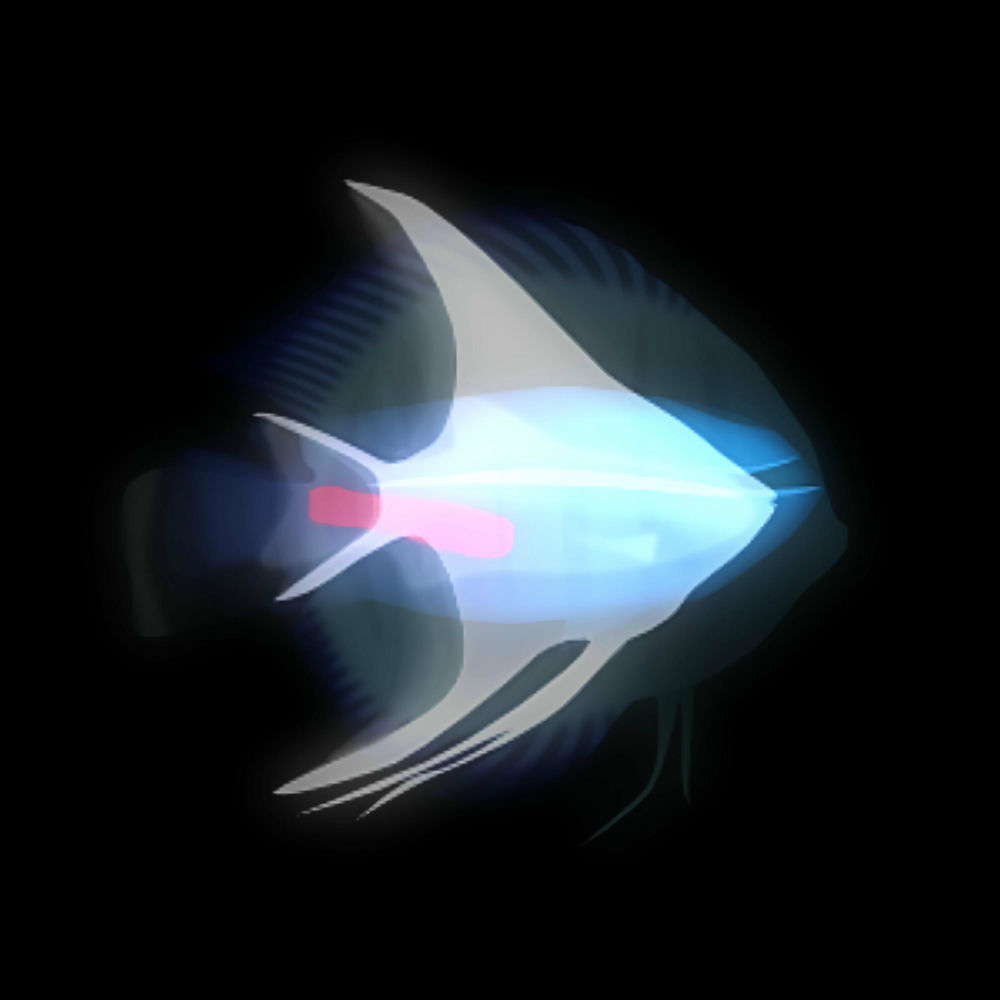 koronba — photo, article sur 0354 en 432 Hz | 432hz-converter.com