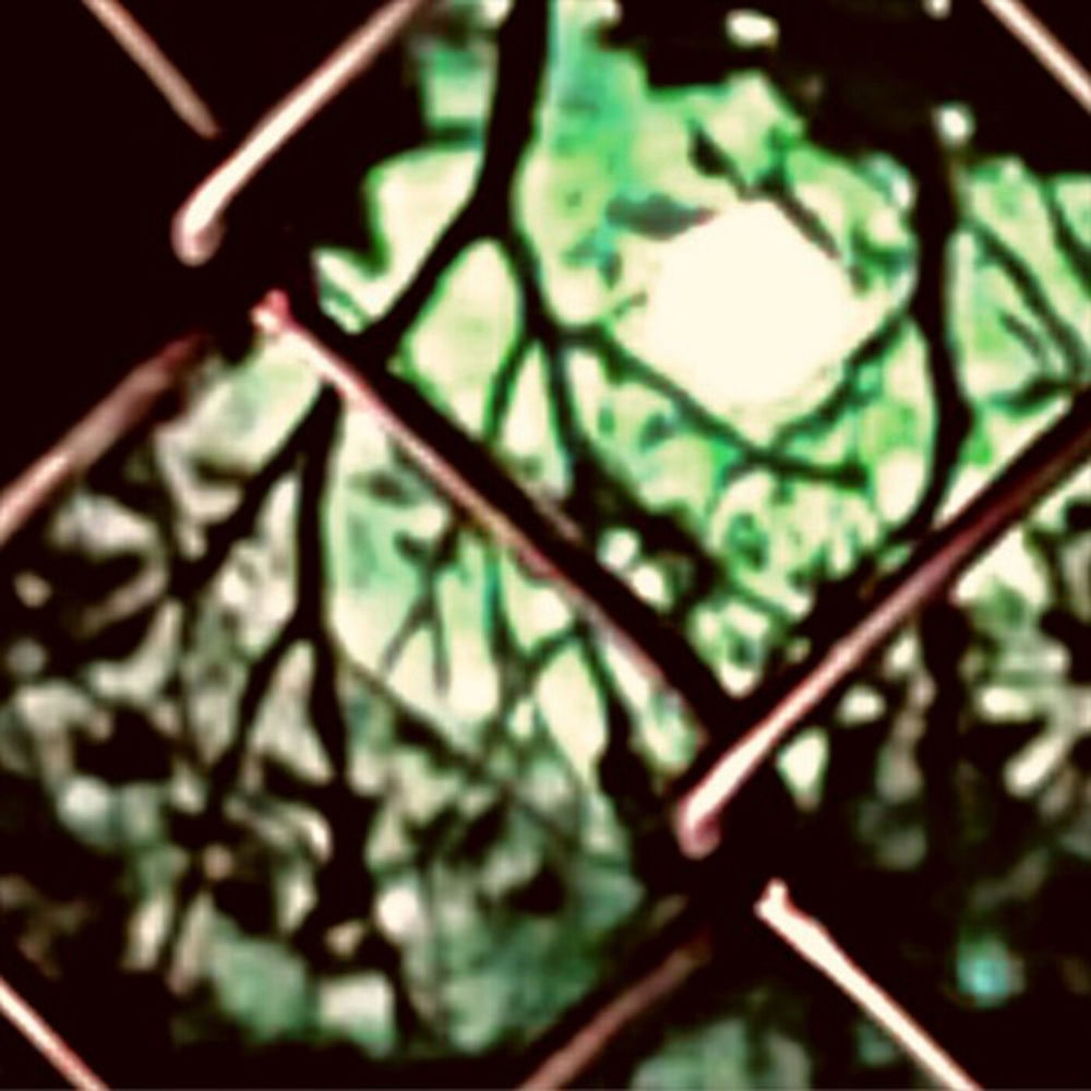 saraunh0ly — photo, article sur wutiwant (SLOWD) en 432 Hz | 432hz-converter.com
